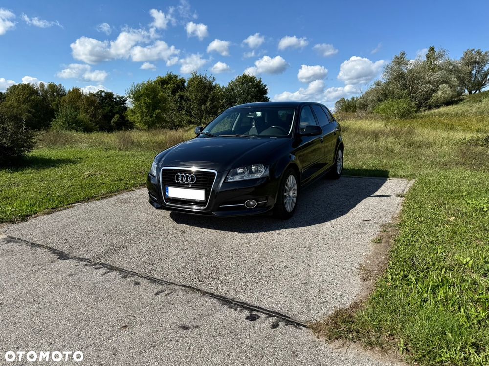Audi A3 1.6 TDI DPF Ambition - 16