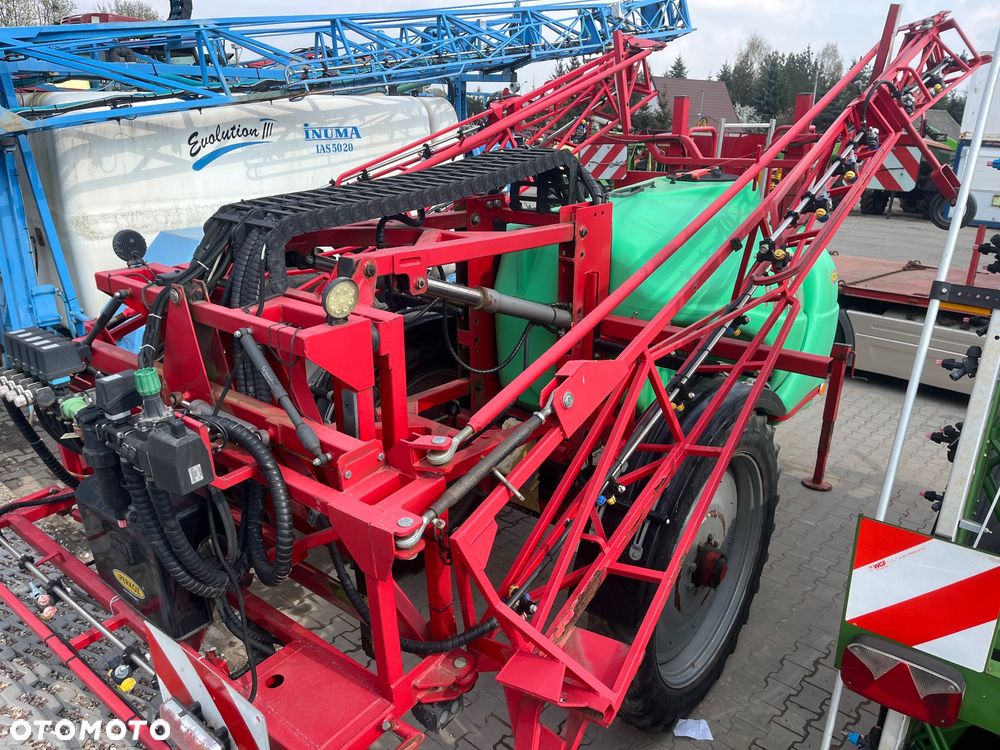 Krukowiak Goliat - 6