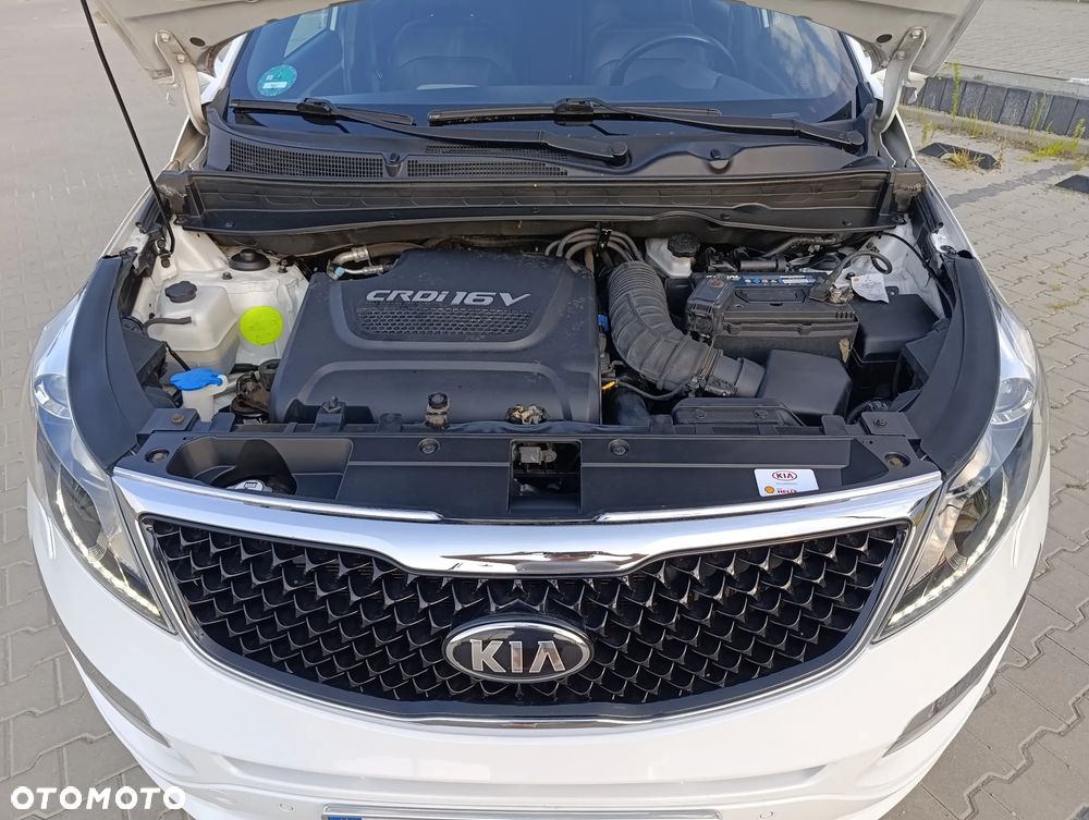 Kia Sportage - 14