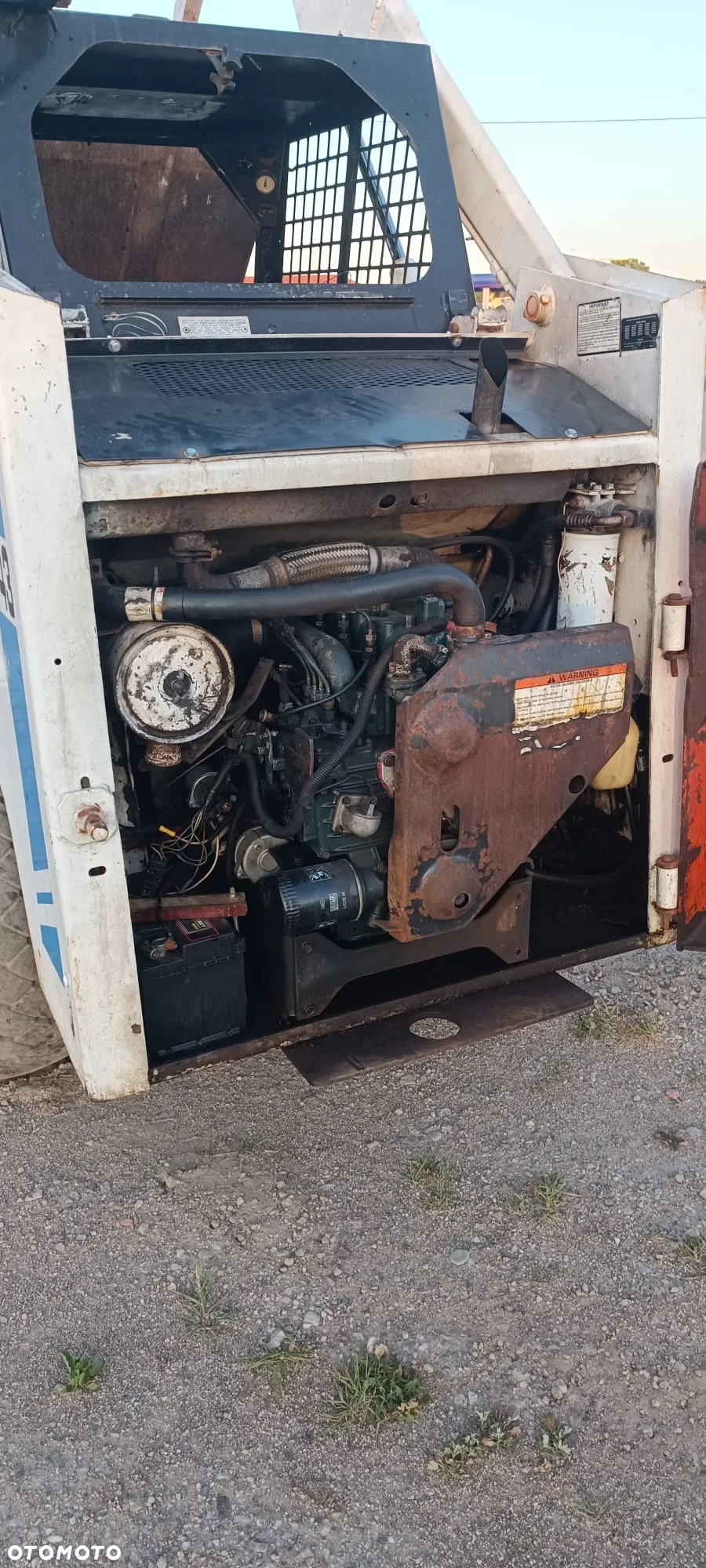 Bobcat - 13