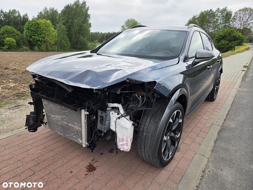 Cupra Formentor 1.5 TSI DSG Tribe Edition - 7