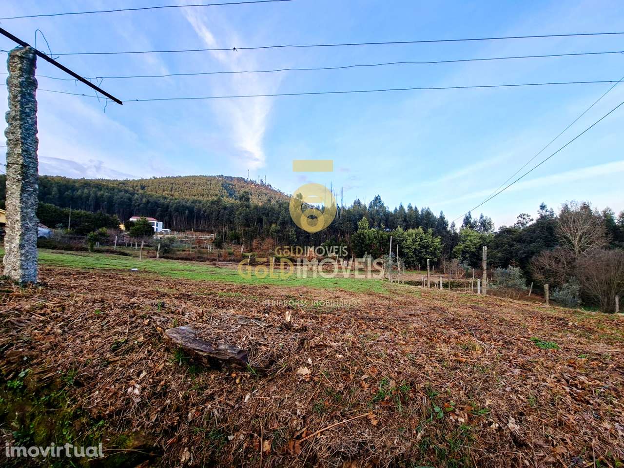 Quintinha T3 Venda em Santa Maria de Sardoura,Castelo de Paiva - Grande imagem: 2/34