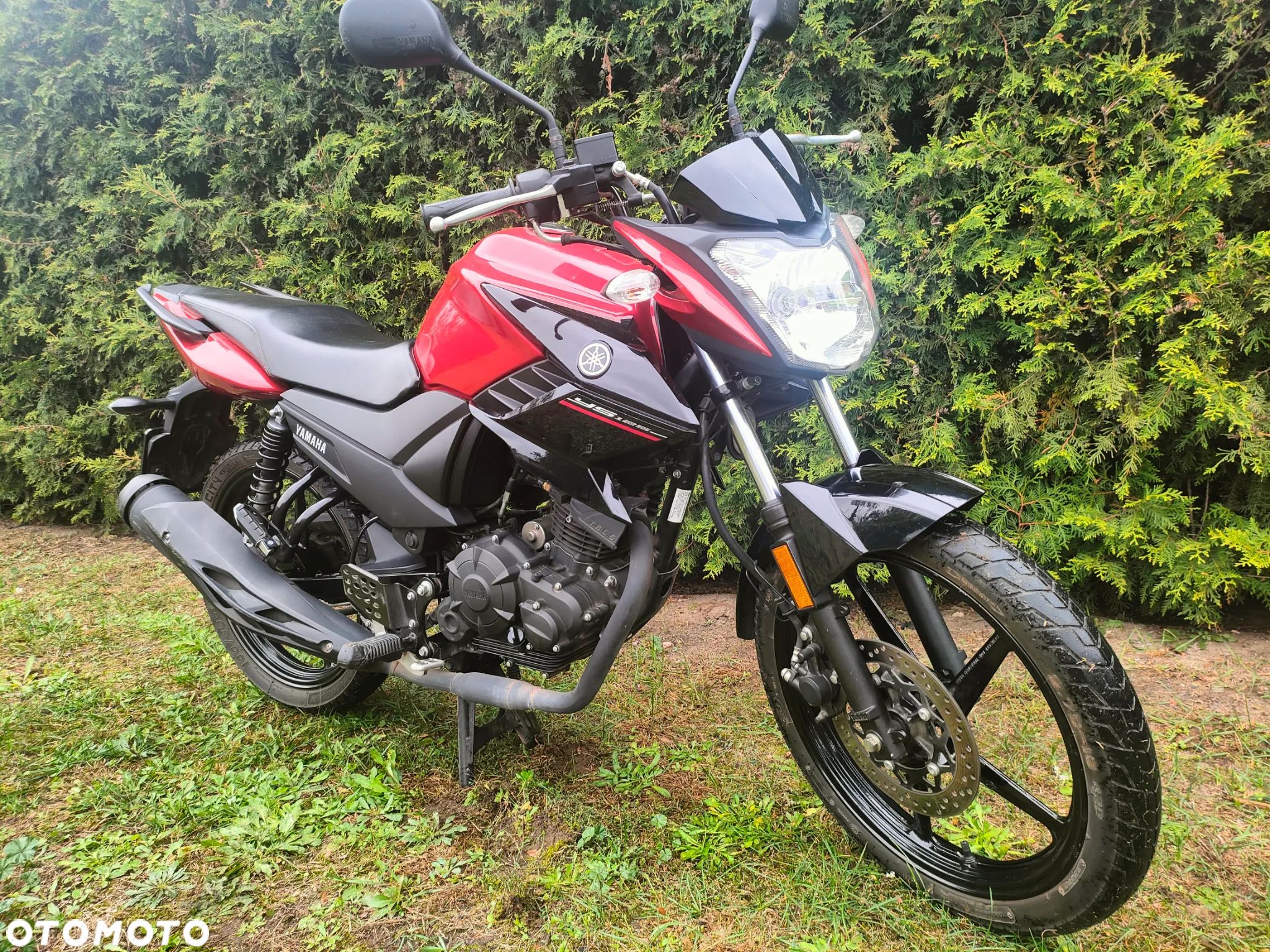 Yamaha YS - 1