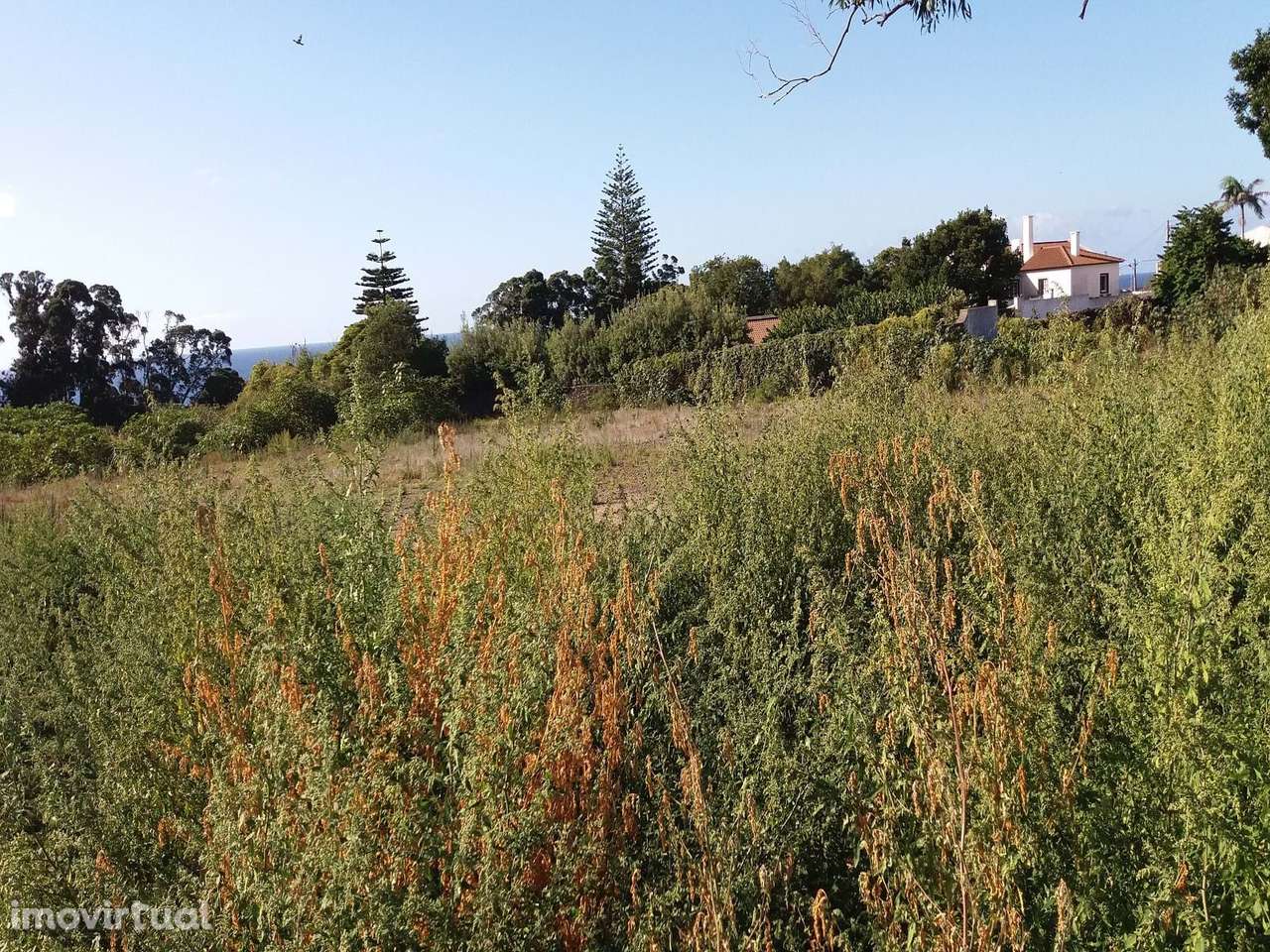 Terreno em zona urbana em Ponta Delgada - Grande imagem: 3/17
