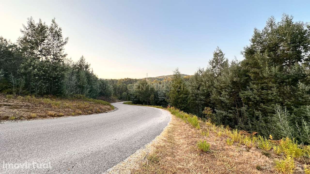 Terreno urbano com armazém + terreno rústico – Excelente oportunidade - Grande imagem: 5/5