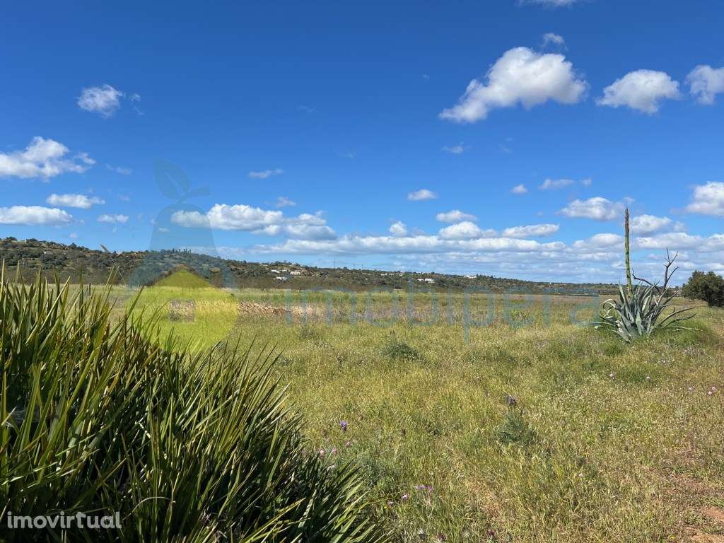 TERREO RÚSTICO PLANO NA VÁRZEA DE TUNES IDEAL PARA PAINEIS SOLARES - Grande imagem: 3/11
