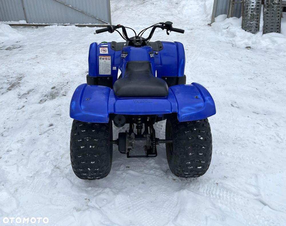 Yamaha Grizzly - 5