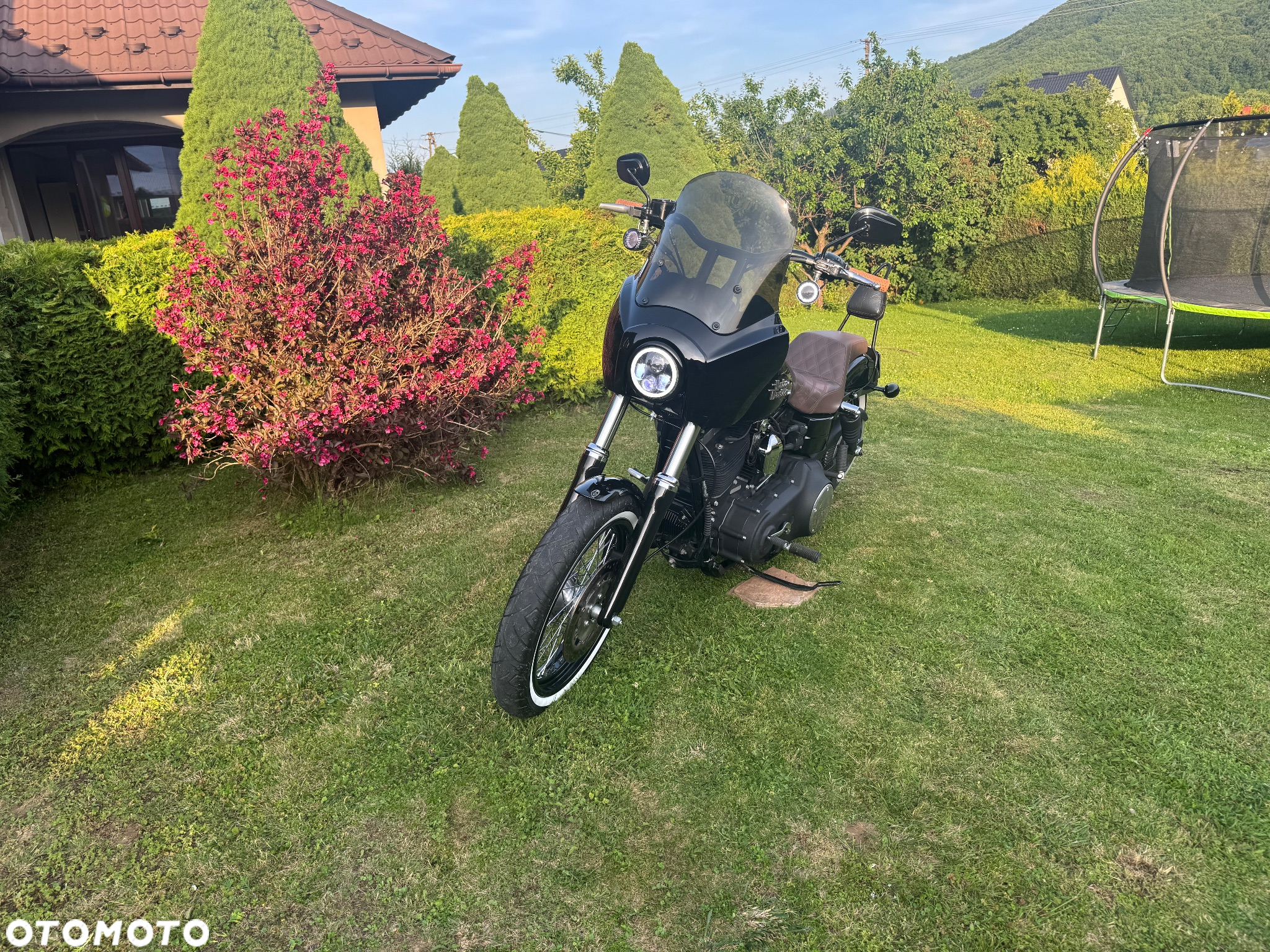 Harley-Davidson Dyna Street Bob - 7