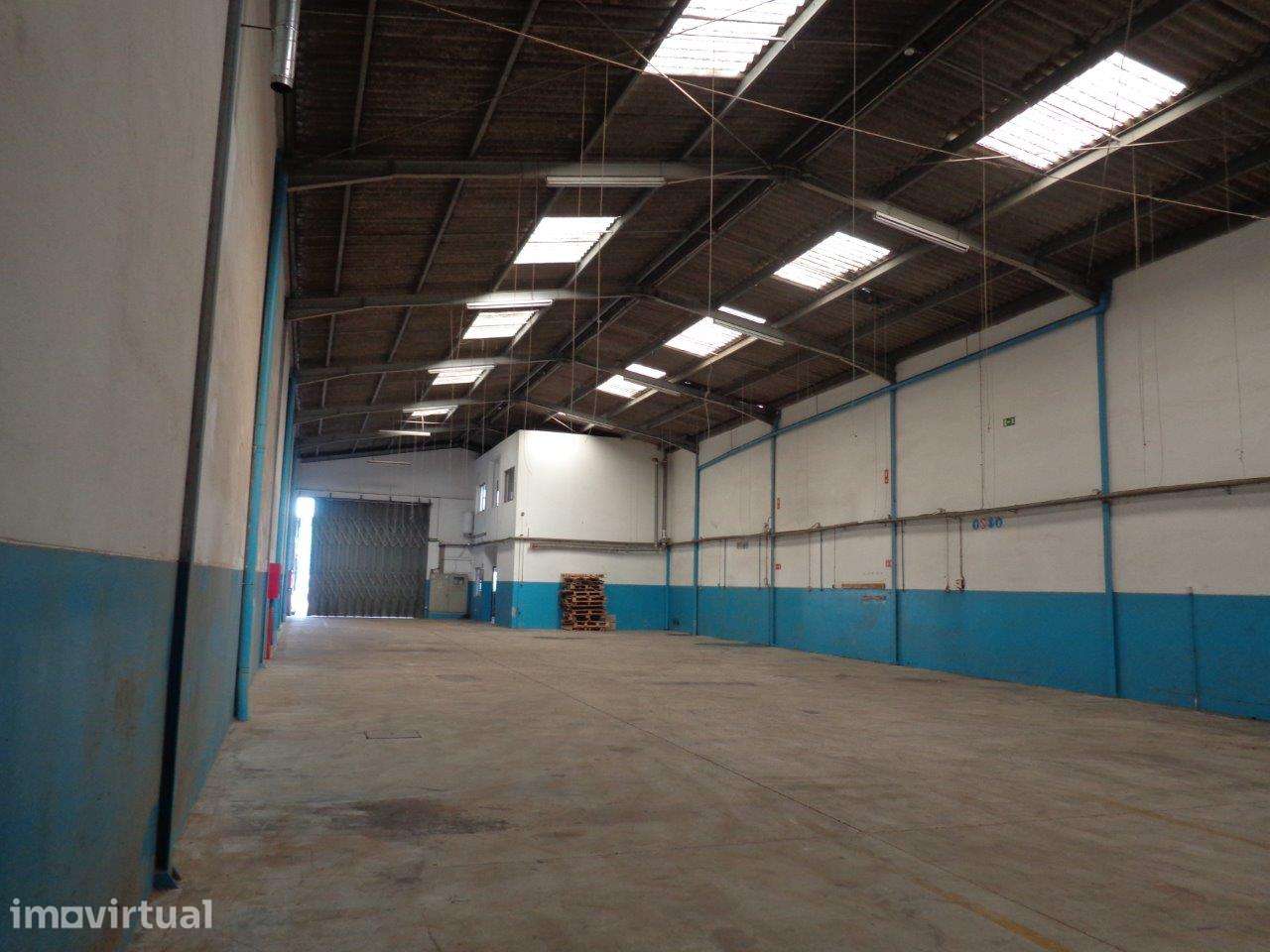 Armazém industrial, Canelas, saída A29 - nó de Canelas - Grande imagem: 2/24