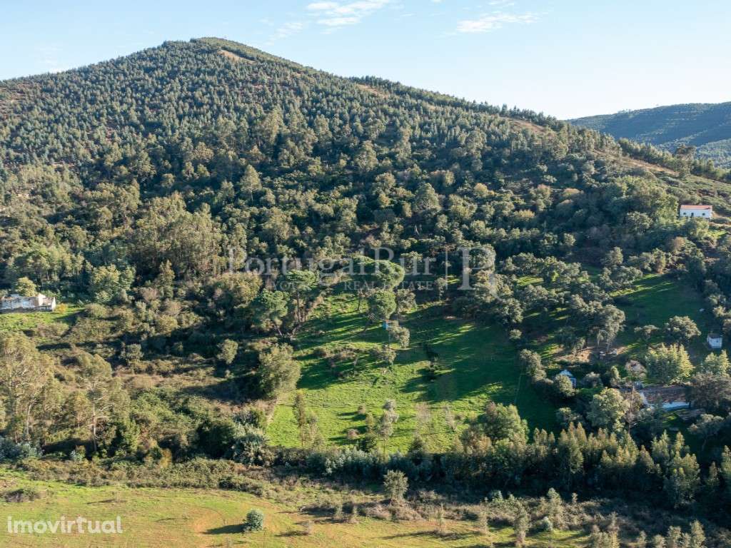 10 hectares e 6 montes isolados, em Serra d' Ossa - Estremoz - Grande imagem: 2/32