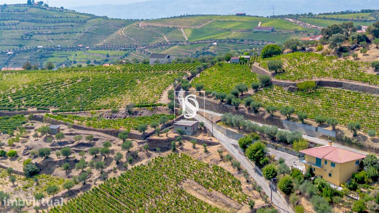 Terreno Rústico  Venda em Poiares e Canelas,Peso da Régua - Grande imagem: 5/14