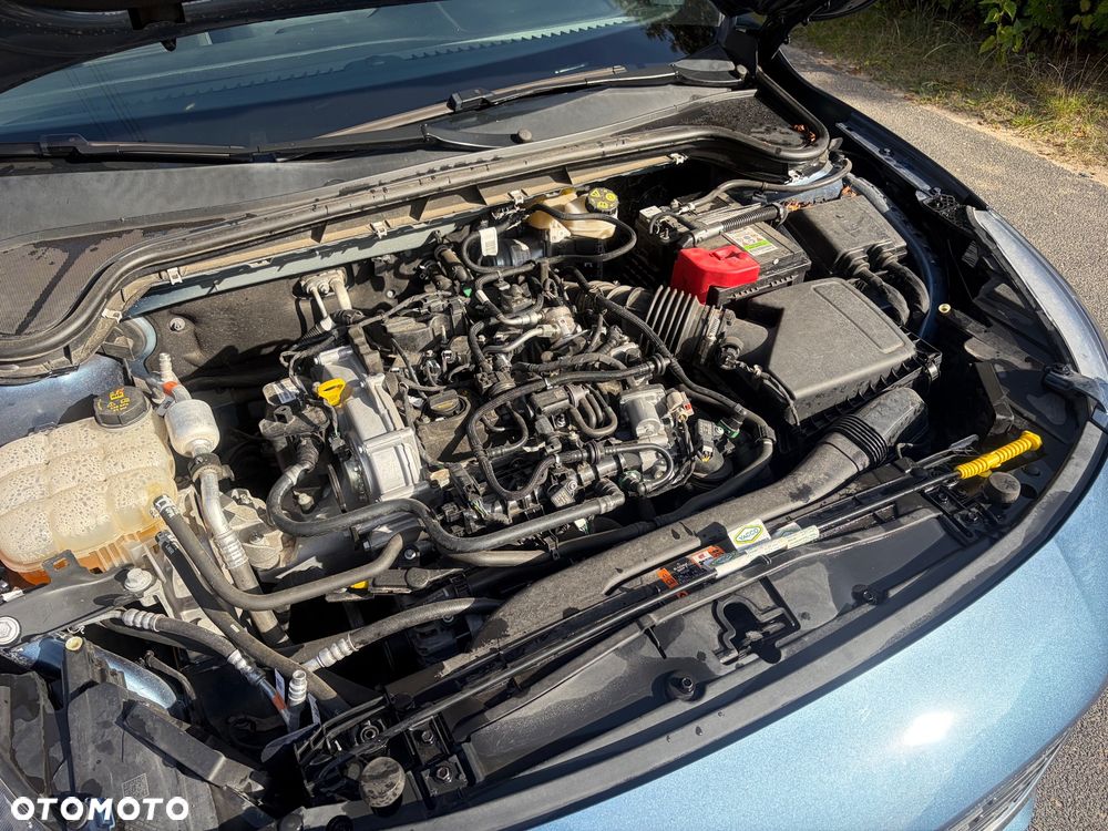 Ford Focus - 22