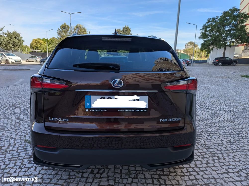 Lexus NX 300h Executive+ - 24
