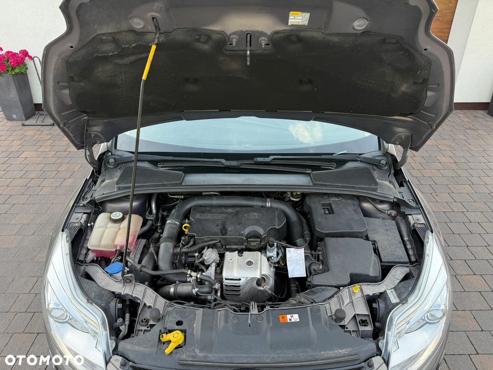 Ford Focus - 8