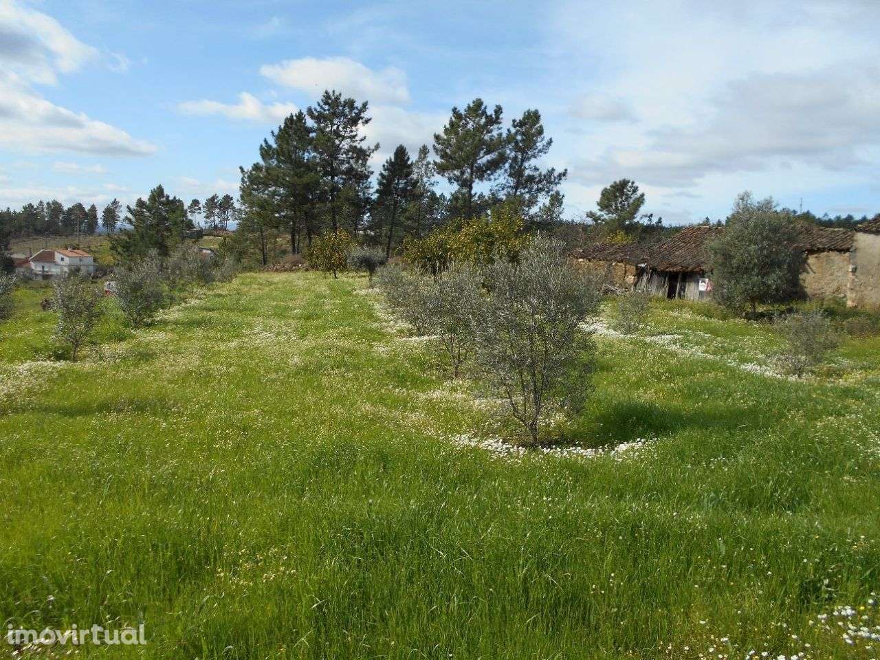 Quinta - Grande imagem: 4/10