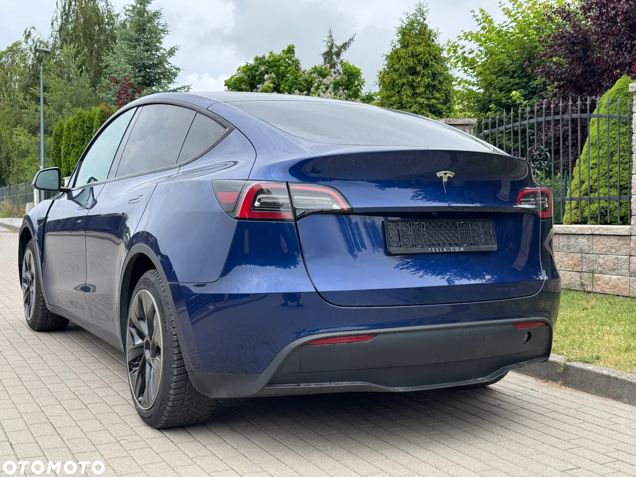 Tesla Y Model RWD - 2