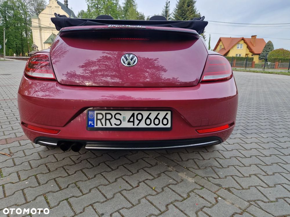 Volkswagen Beetle - 5
