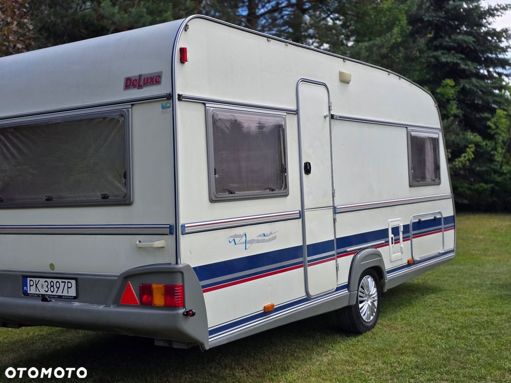 Wilk 491 DE LUXE - 37