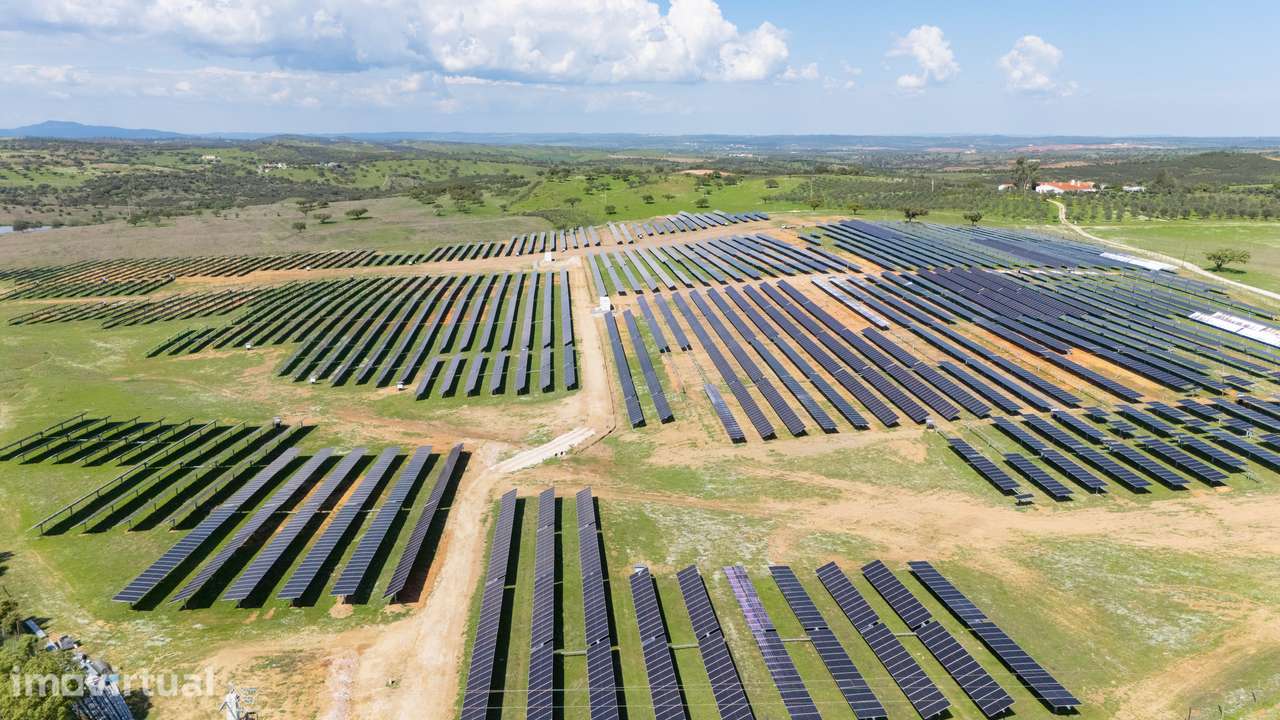 Herdade do Penedo Gordo – 15 Hectares de Elevado Potencial no Alentejo - Grande imagem: 5/6