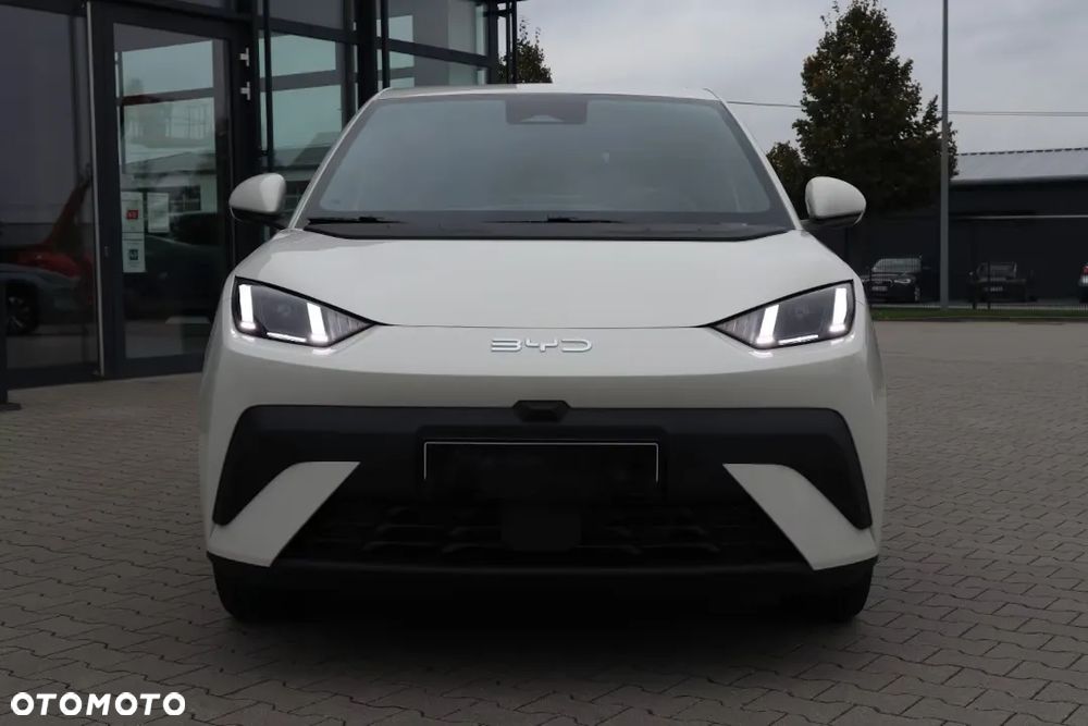 BYD Dolphin Surf Comfort - 9