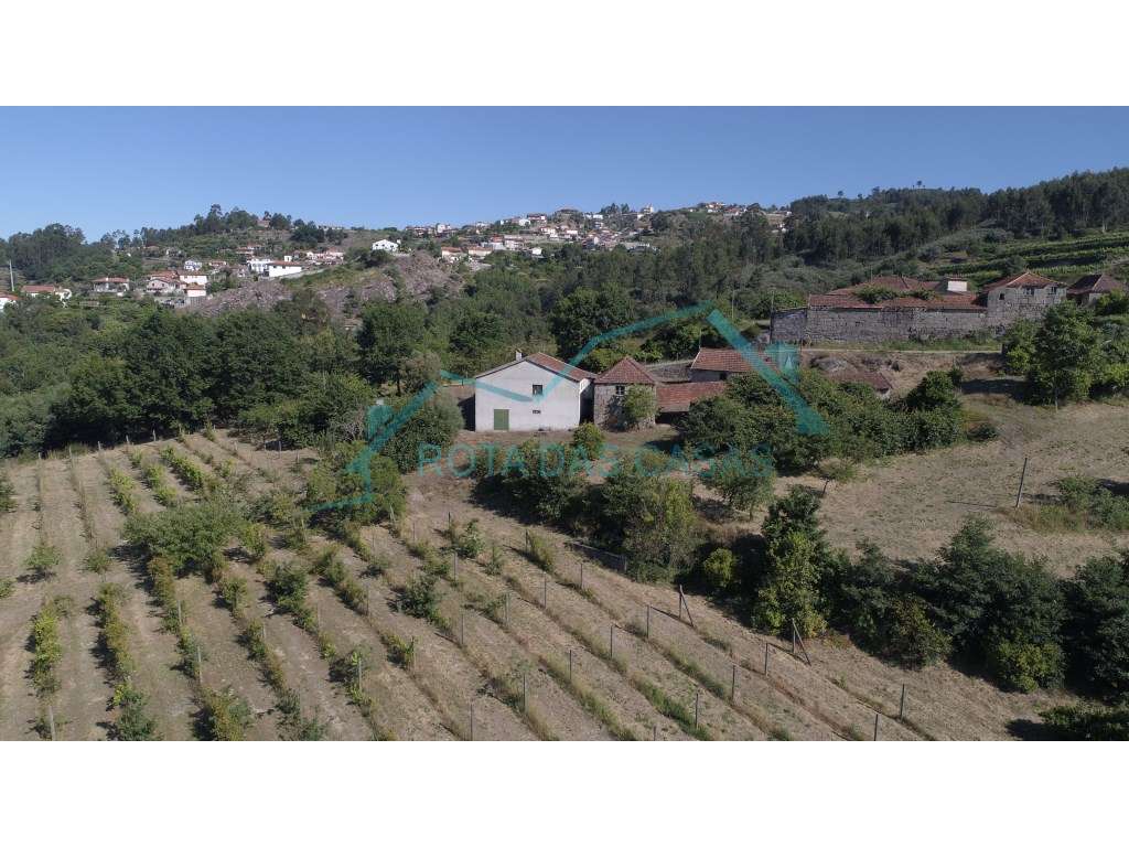 Quinta à venda em Banho e Carvalhosa - Marco de Canaveses - Grande imagem: 3/6