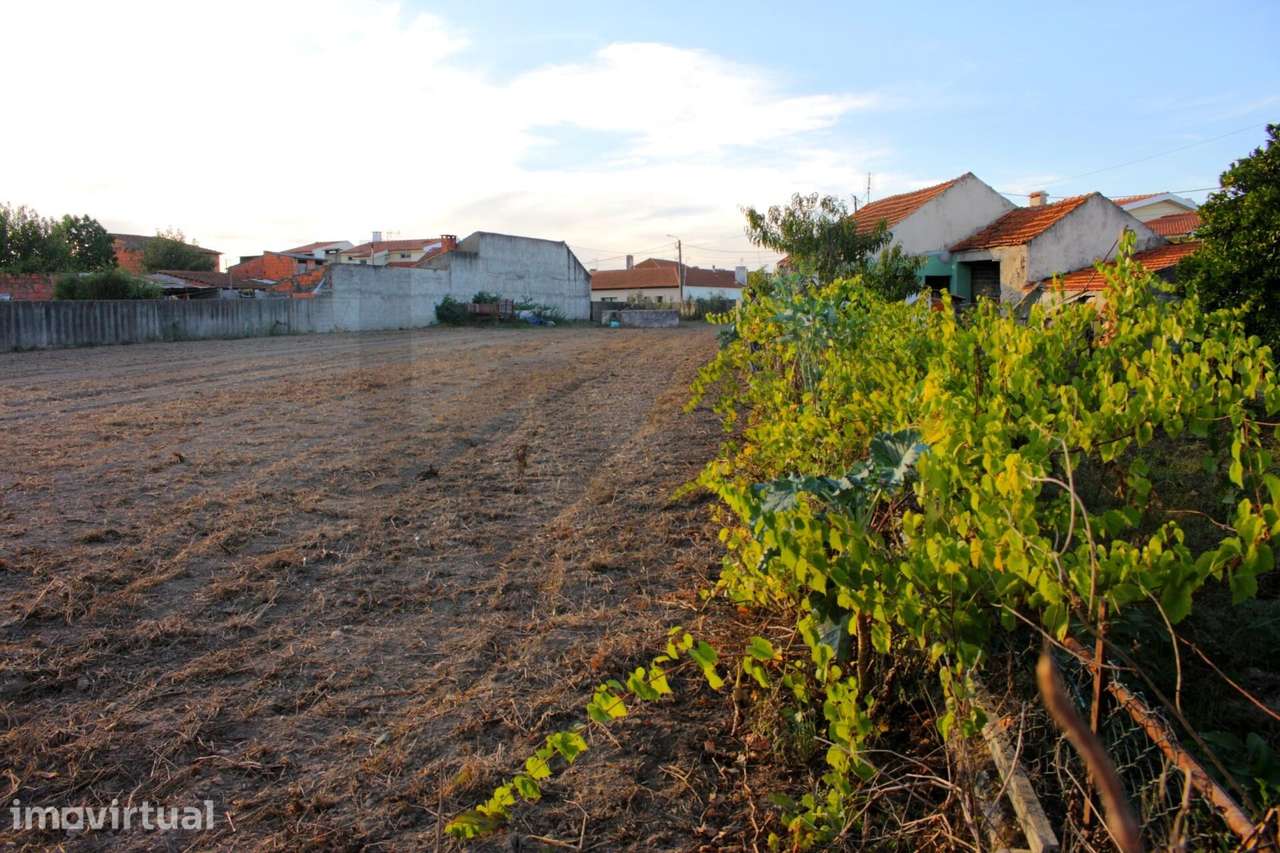 Terrenos com área total de 1900 m2 - Grande imagem: 3/5