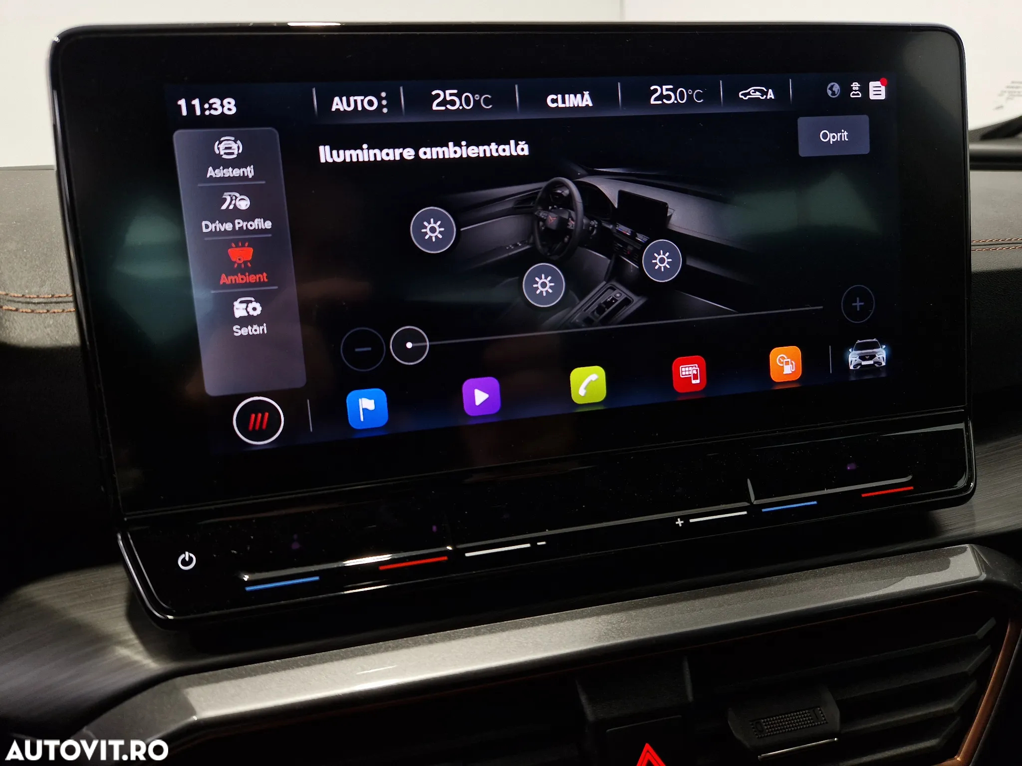 Cupra Formentor 1.5 TSI DSG7 - 24