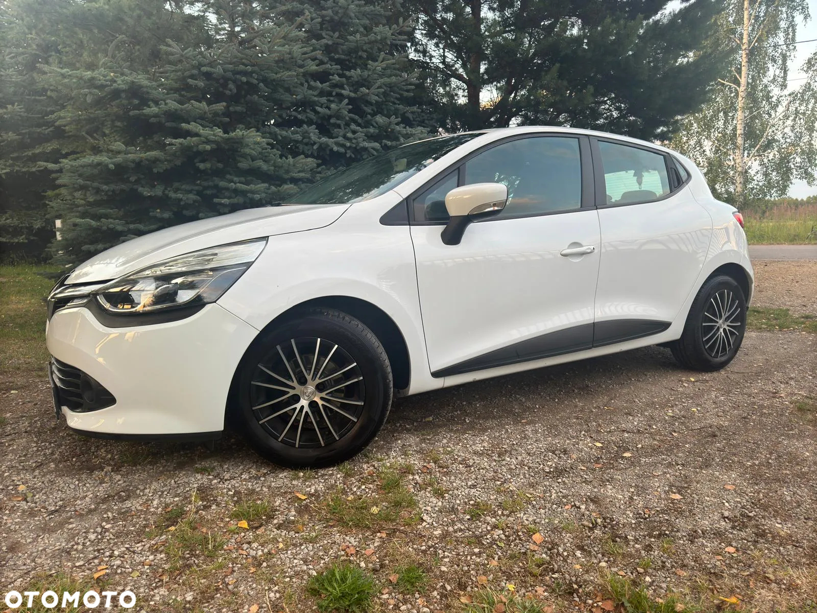 Renault Clio - 22