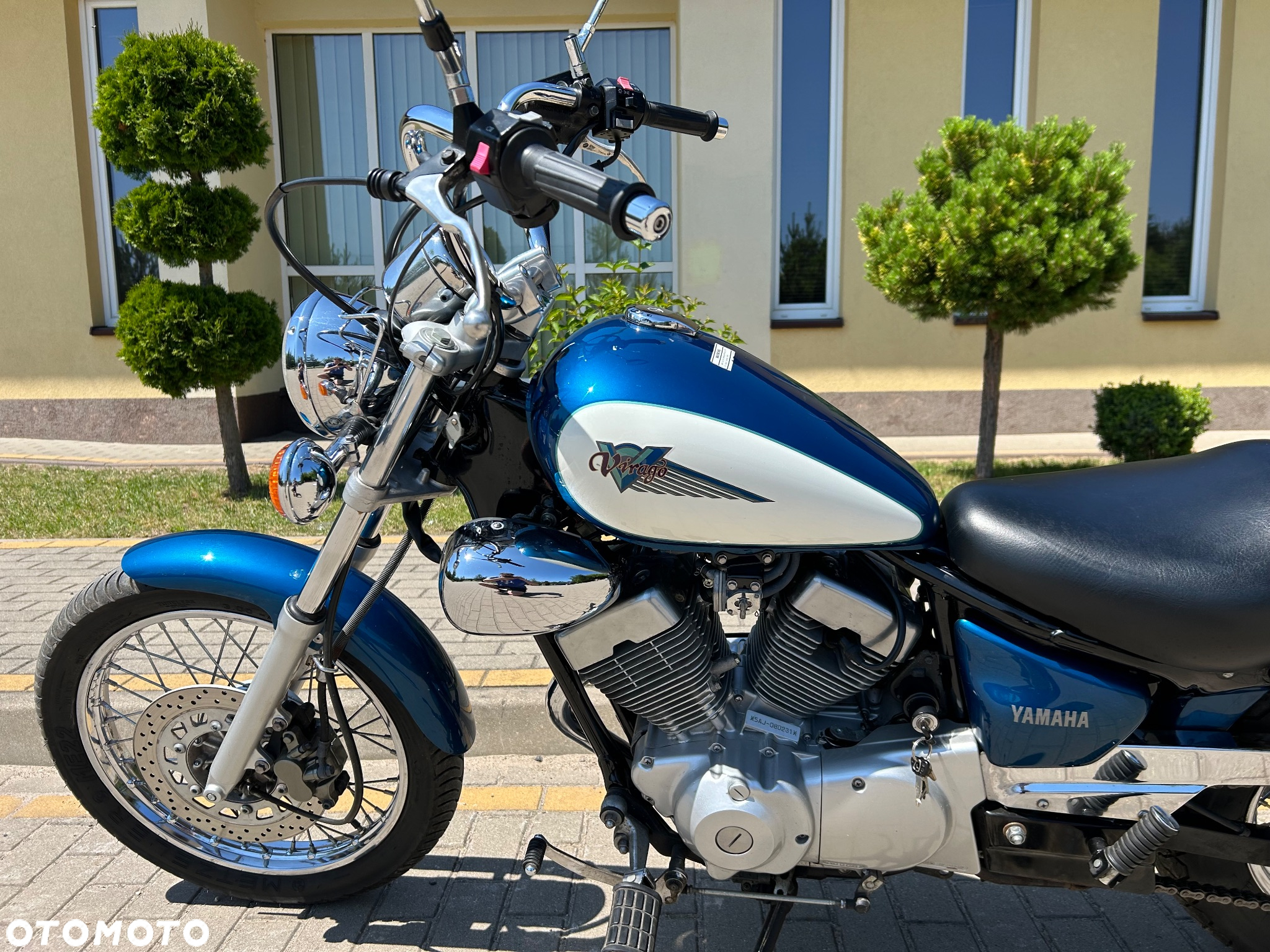 Yamaha Virago - 18