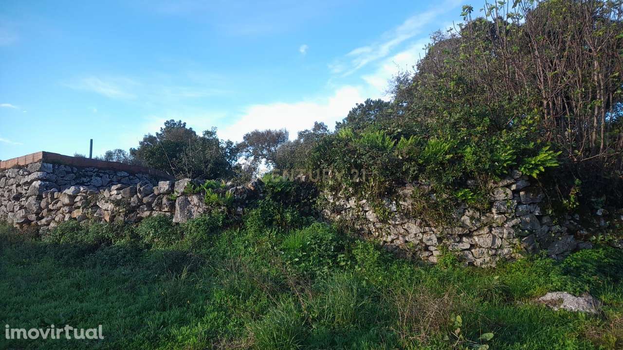 Terreno Urbano com Ruinas - Grande imagem: 3/5