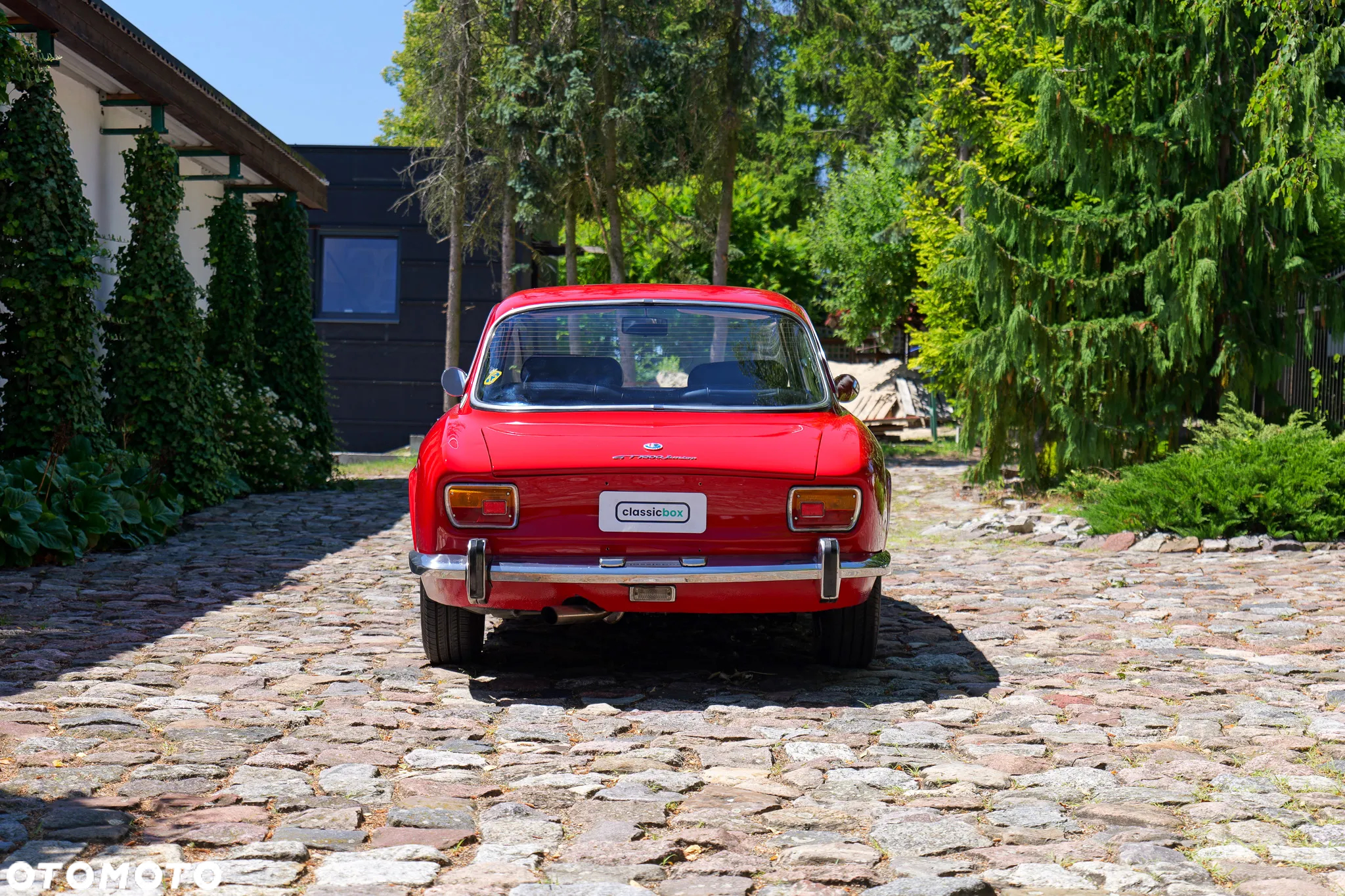 Alfa Romeo GT - 8