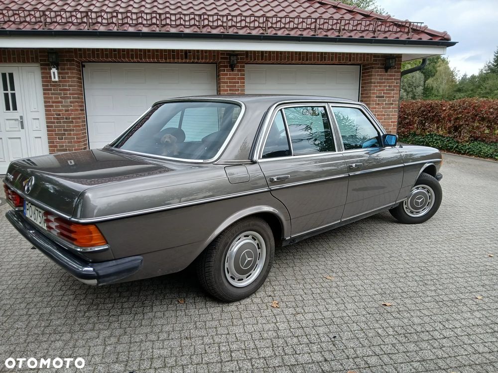 Mercedes-Benz W123 - 9