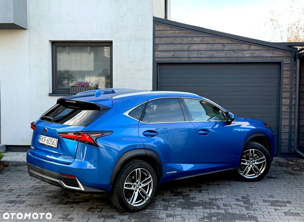 Lexus NX - 11