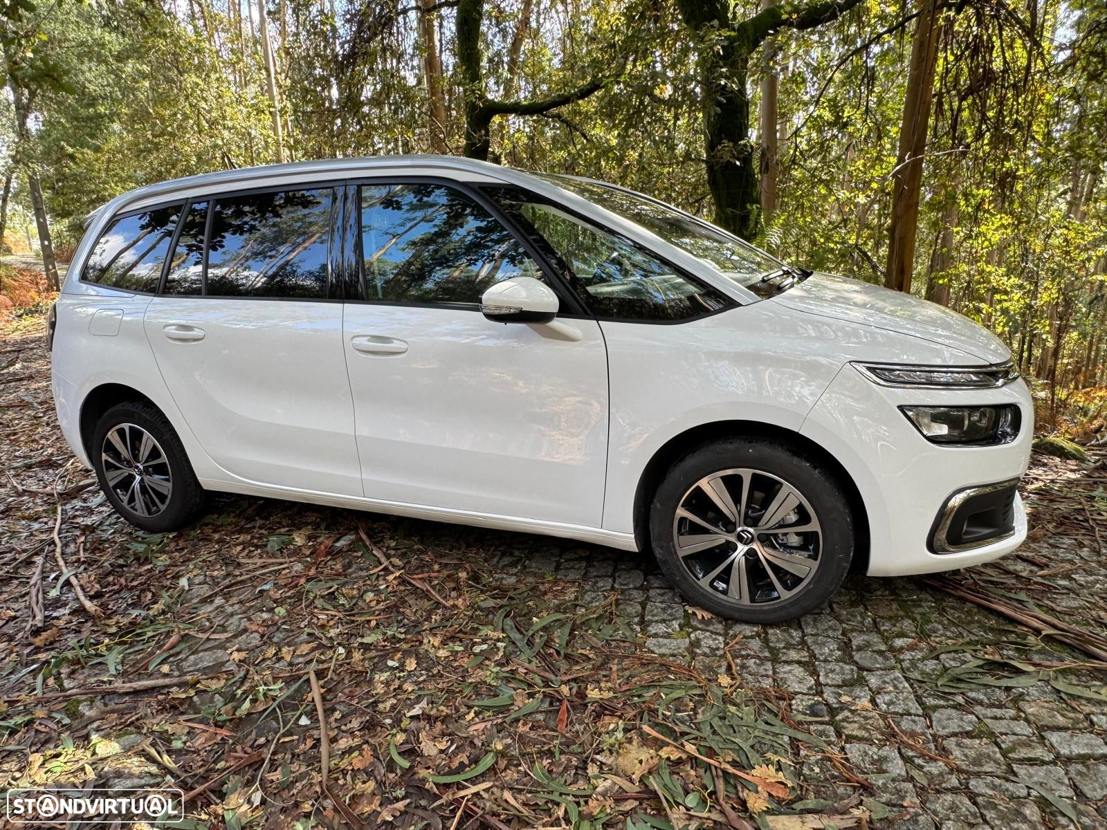 Citroën Grand C4 Spacetourer 1.5 BlueHDi Feel Business - 7