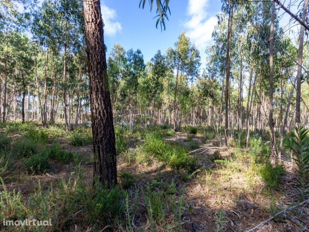Terreno - Ericeira centro 2 km, A Casa das Casas - Grande imagem: 4/25