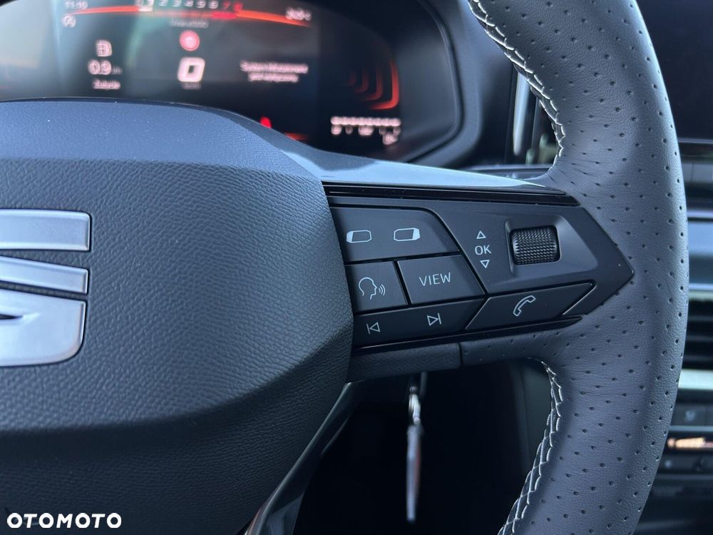 Seat Ibiza - 17