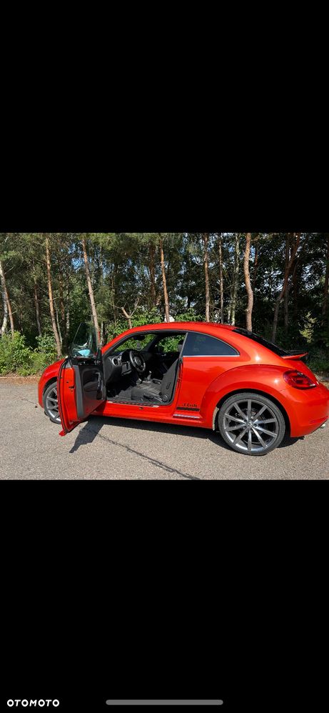 Volkswagen Beetle - 5