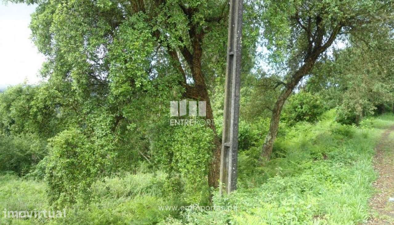 Venda Lote de Terreno,Rio Mau, Penafiel - Grande imagem: 3/3