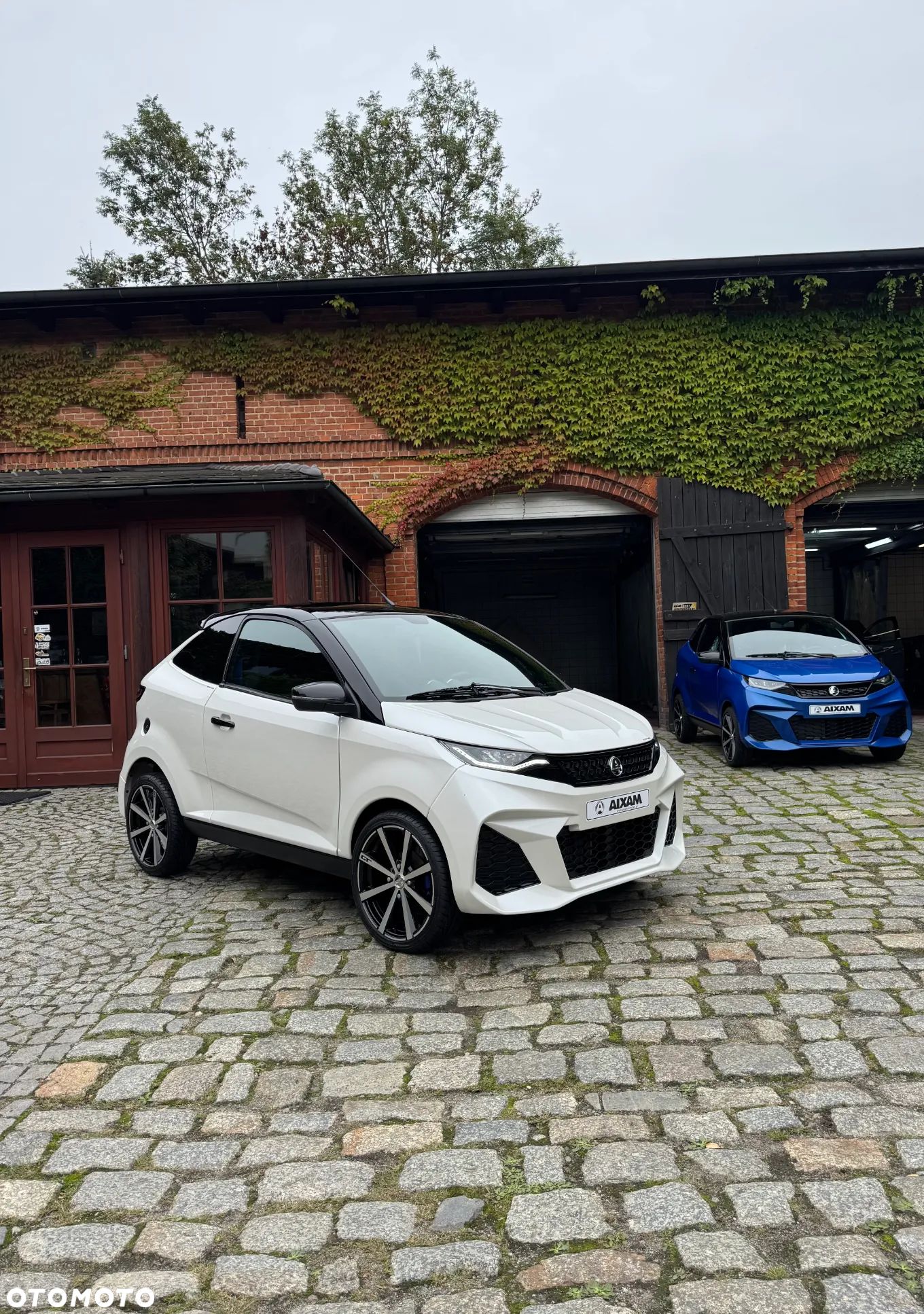 Aixam Coupe - 1