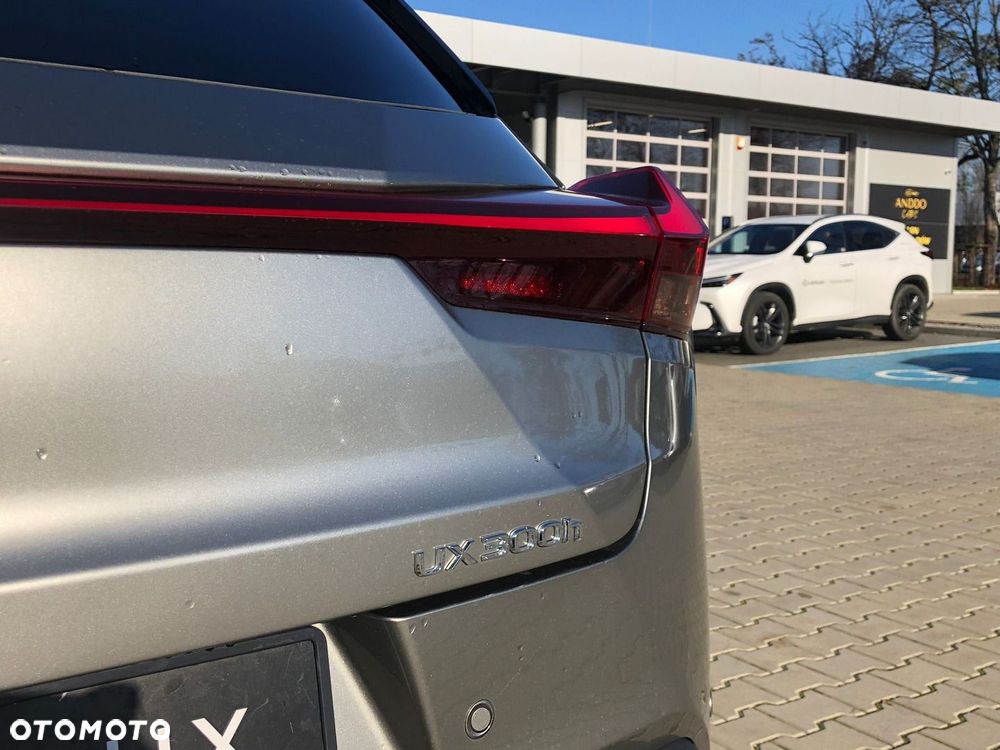 Lexus UX 300h F Sport Design - 35