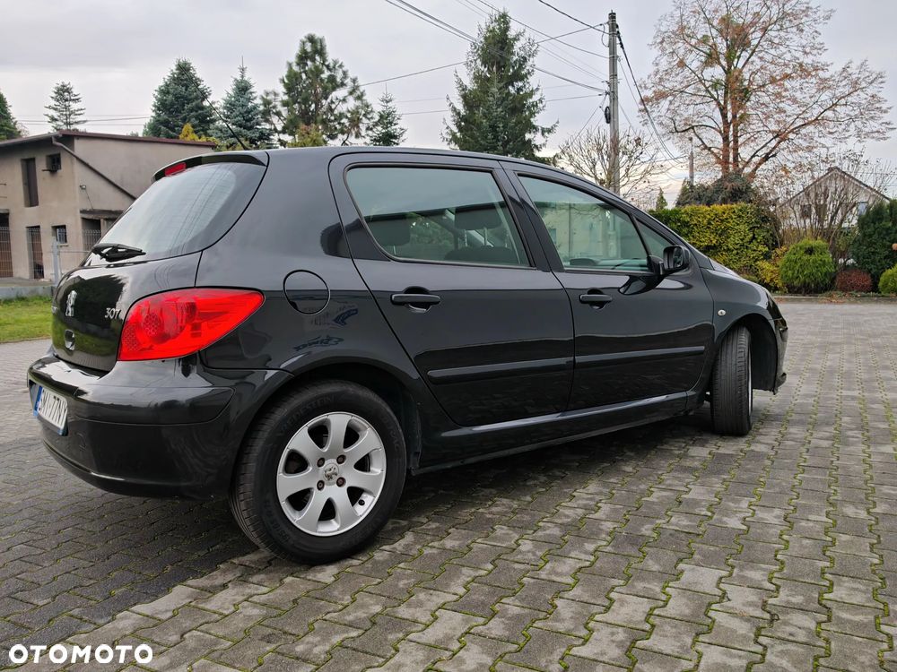 Peugeot 307 1.6 Sporty - 6