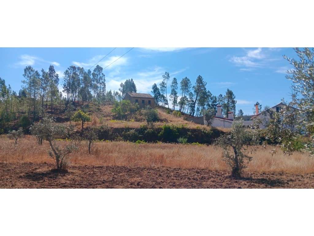 Arrendamento de Construção Rural com Terreno Rústico - Castelo de M... - Grande imagem: 3/12