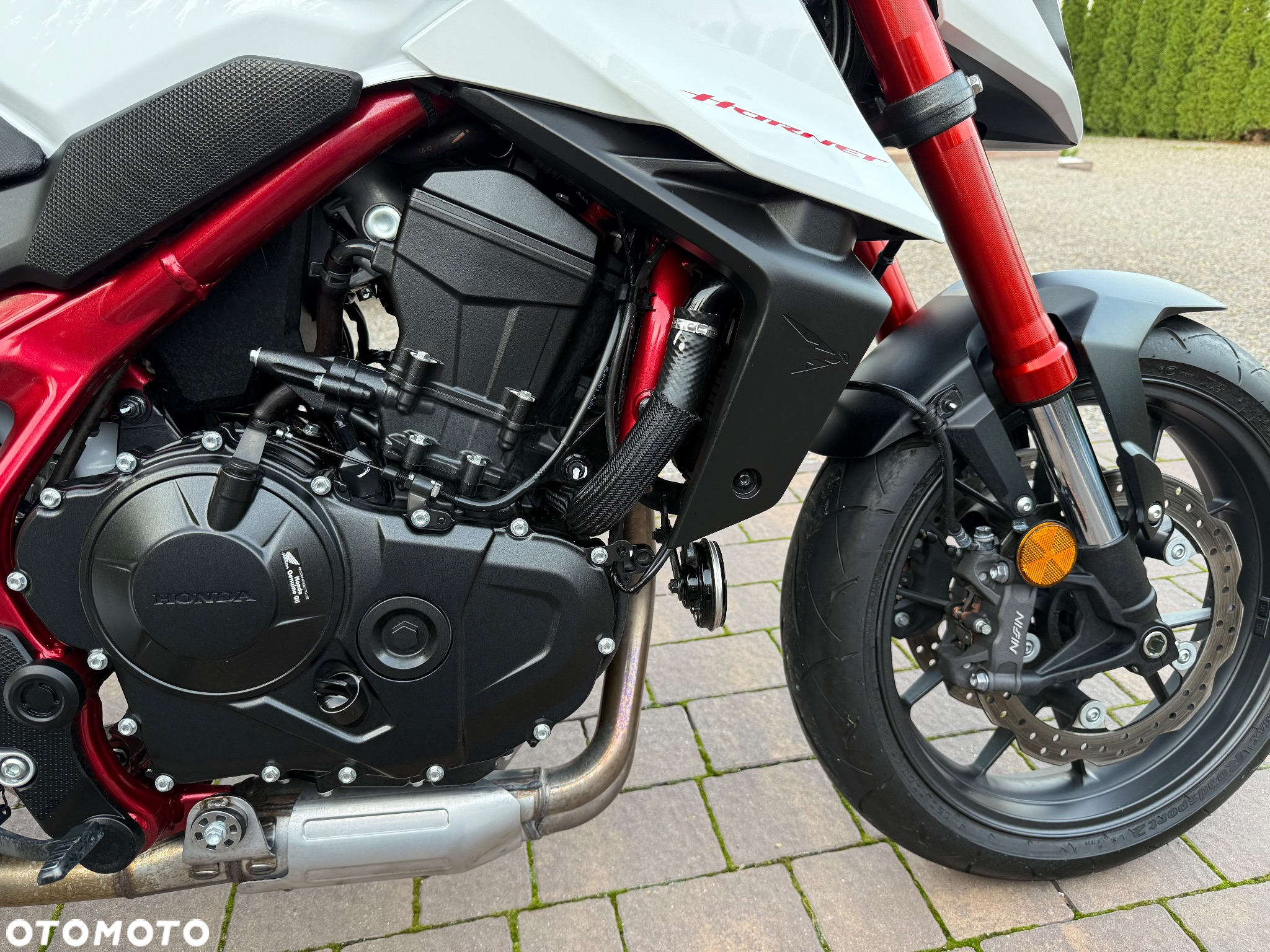 Honda Hornet - 5