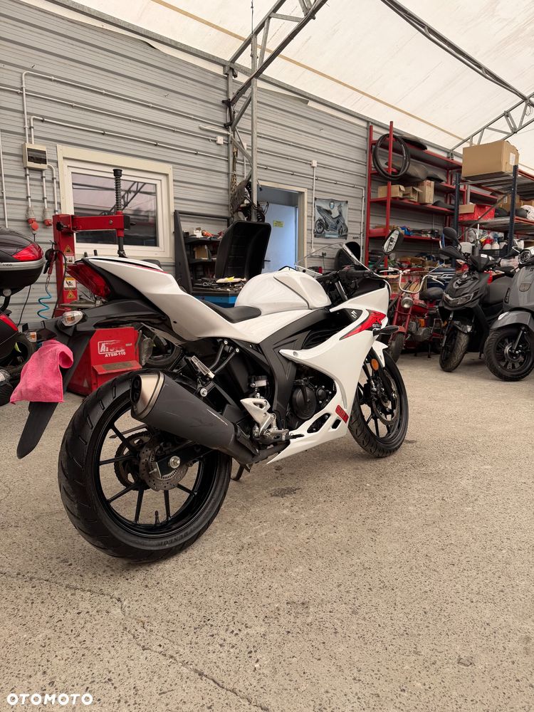Suzuki GSX-R - 8