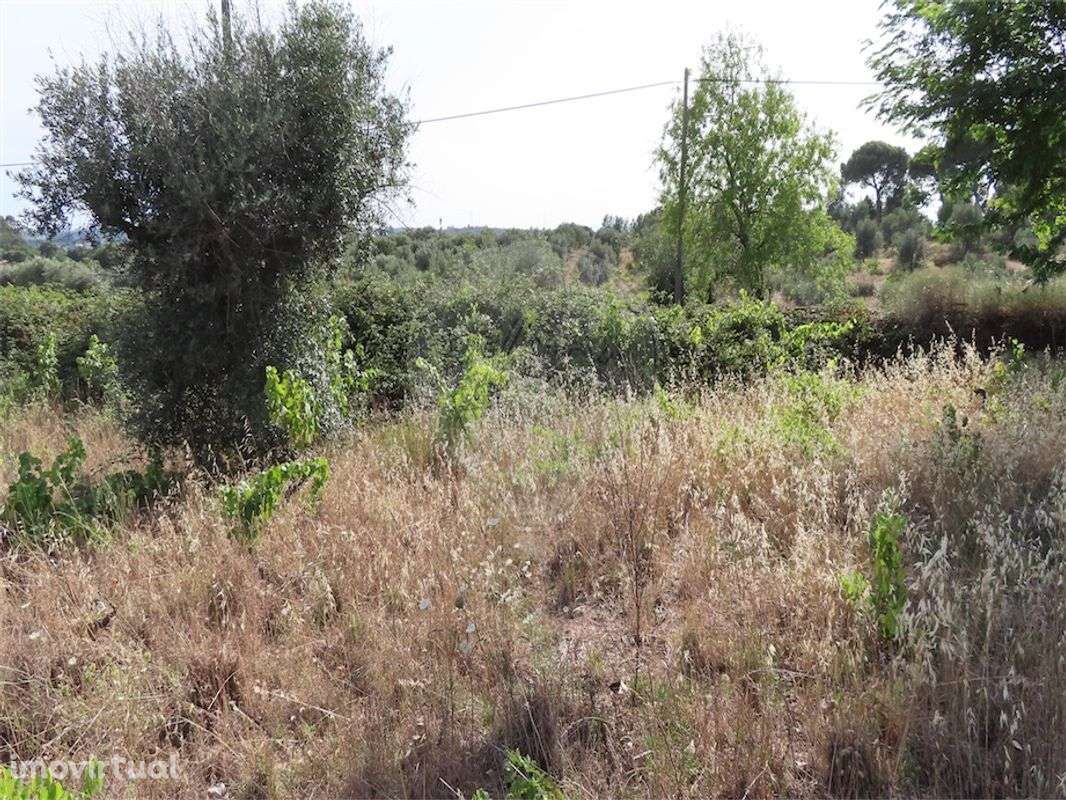 Quinta  para venda - Grande imagem: 3/12