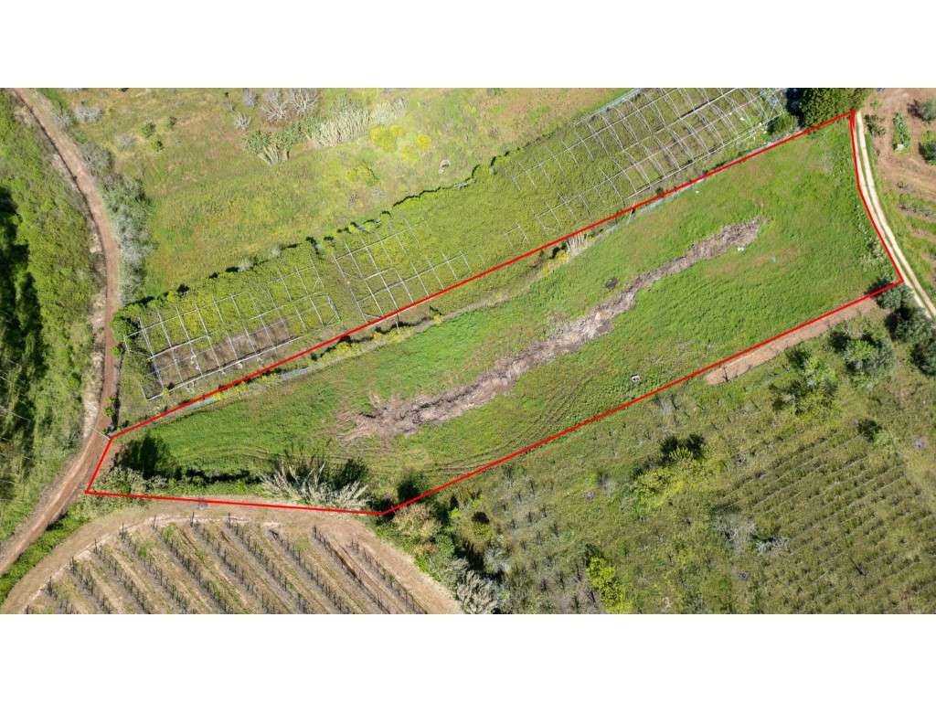 Terreno Rustico em Évora de Alcobaça - Grande imagem: 2/11