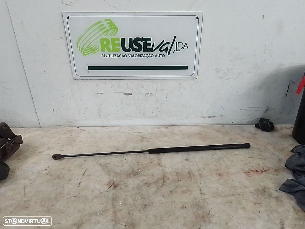 Amortecedor Capot Audi A4 (8Ec, B7) - 1