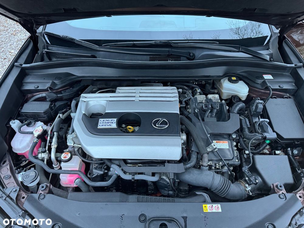 Lexus UX 250h Elegance 2WD - 18