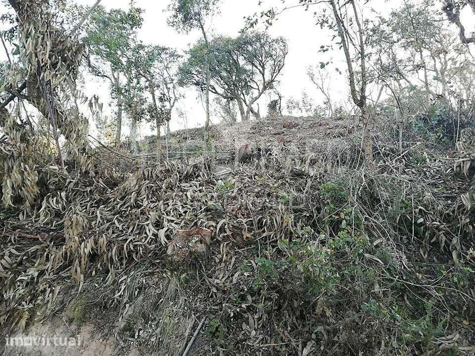 LOUSA. Lote terreno rústico com 16.320 m2 - Grande imagem: 5/7