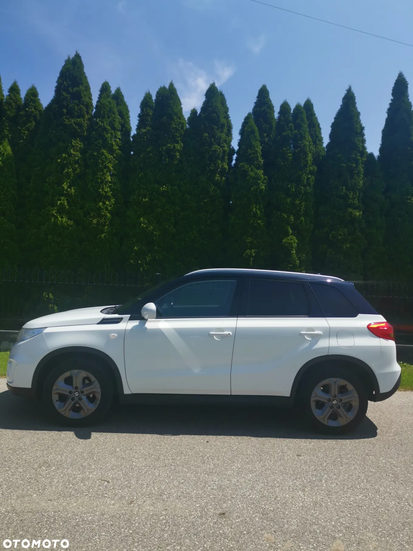 Suzuki Vitara - 13